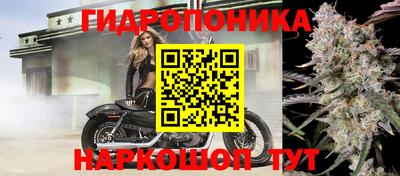 первитин Гусев