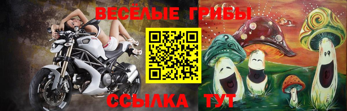 Псилоцибиновые грибы Psilocybine cubensis  Псилоцибиновые грибы GOLDEN TEACHER  Кыштым  Вход с VPN 